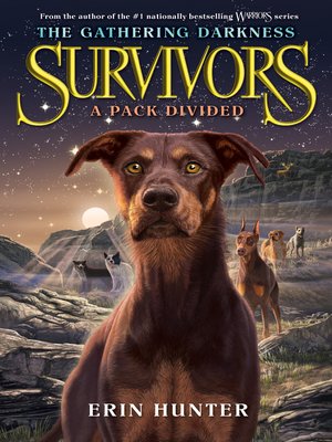 cover image of A Pack Divided